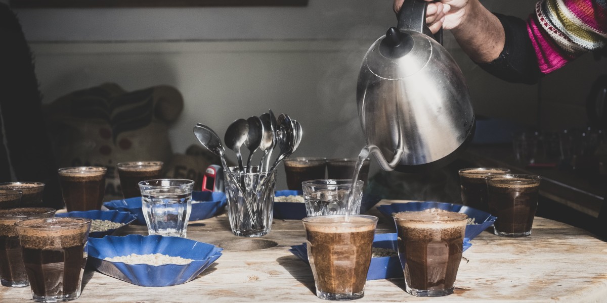 Comprehensive Guide to Tassimo Coffee Makers: Models, Features, and FAQs