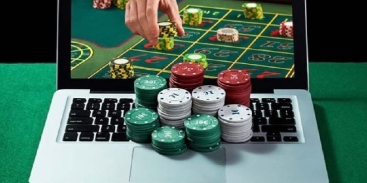 Winbuzz – Your Gateway to Smart & Secure Online Betting