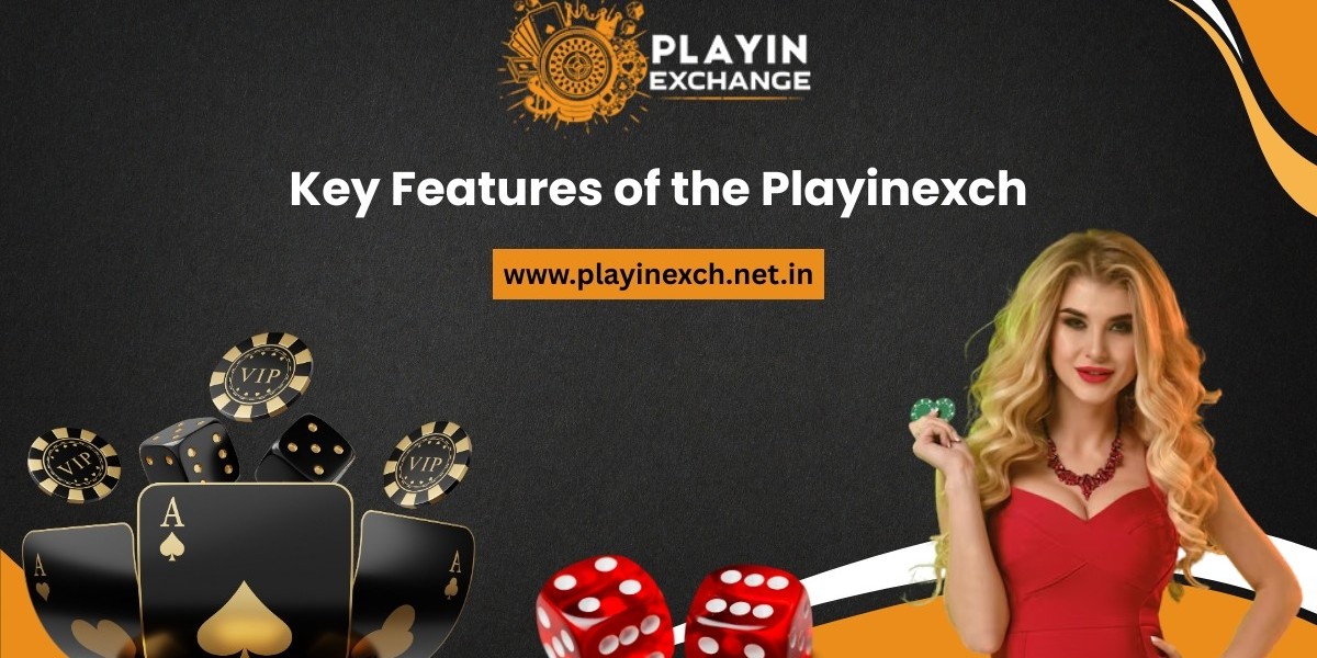 Top Features of Playinexch247 You Should Know | Playinexch365 Guide