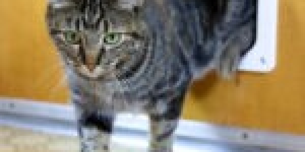 5 Tools That Everyone Within The Cat Access Door Installer Industry Should Be Using