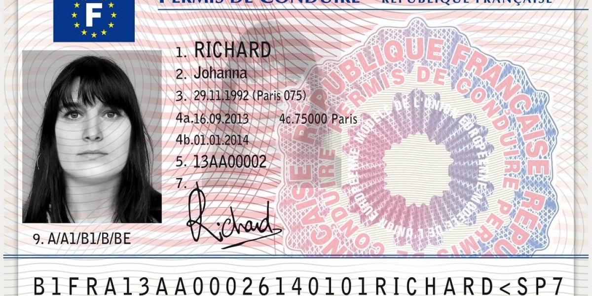 5 French Driving License Application-Related Lessons From The Pros