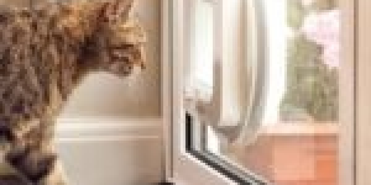The Three Greatest Moments In Pet Door Fitter History