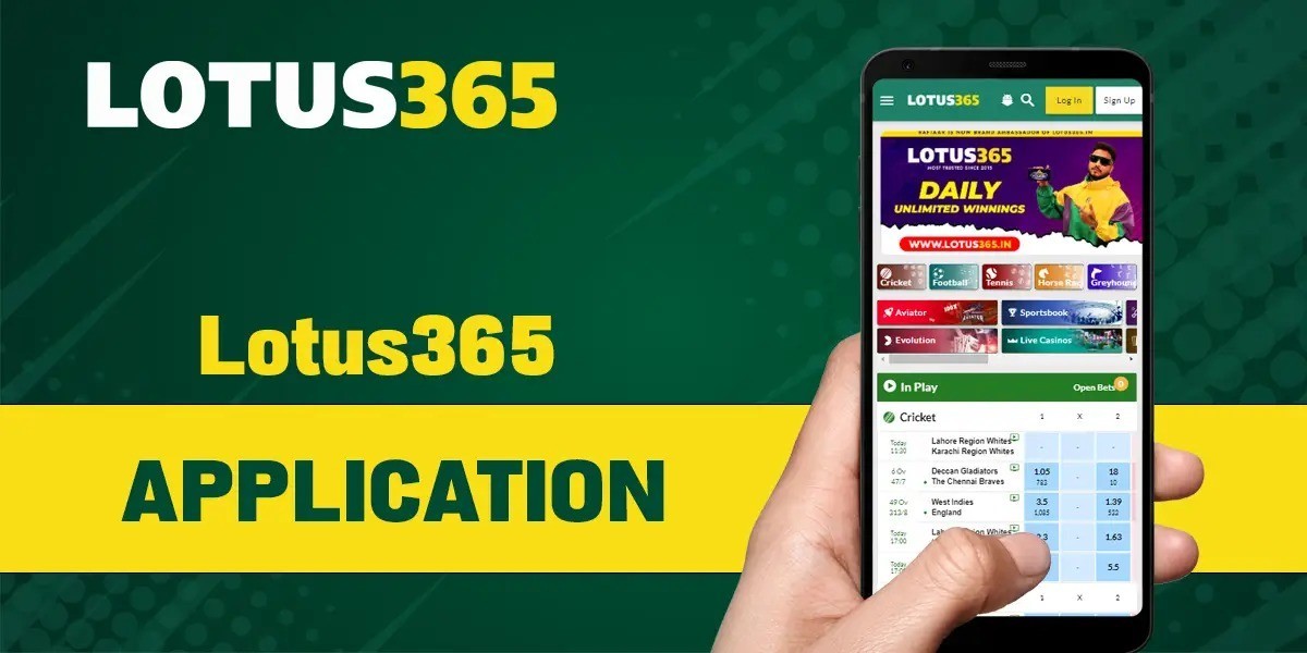 Beginner’s Guide to Lotus365: Everything You Need to Know